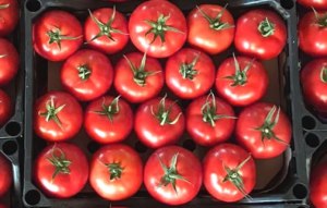 Turkish Tomato