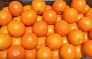 Turkish Mandarin